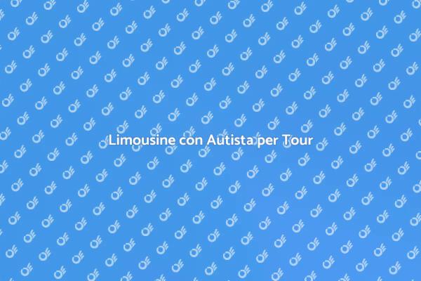 Tour in Limousine con Autista