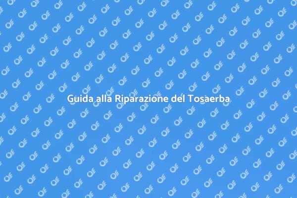 Come Rimettere in Sesto il Tosaerba