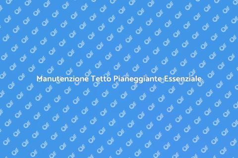 Pulizia Tetto Pianeggiante: Guida Pratica