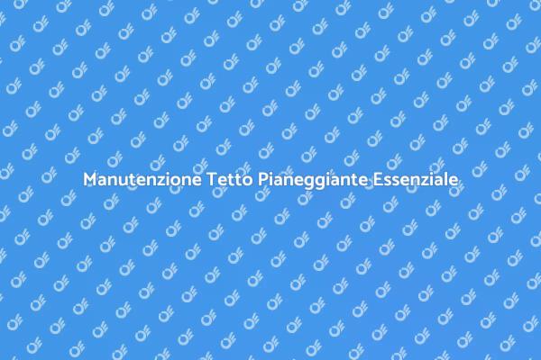 Guida alla Pulizia del Tetto Pianeggiante