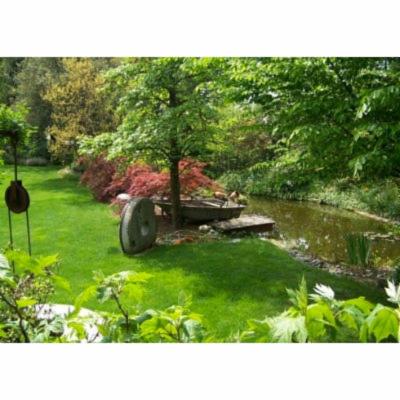 Vivai Giardini Martignago  - Foto 4