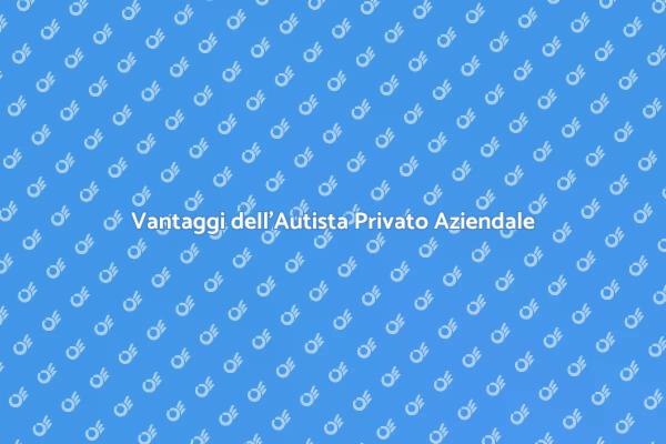 Perché Scegliere un Autista Privato?