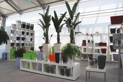 Artenatura Garden Center  - Foto 9
