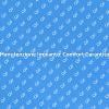 Efficienza e Comfort con Manutenzione
