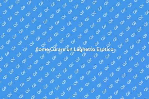 Manutenzione Laghetto con Piante Esotiche