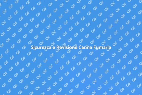 Importanza della Revisione Canna Fumaria