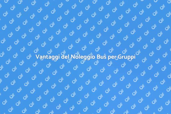 Noleggio Bus: Soluzione per Gruppi