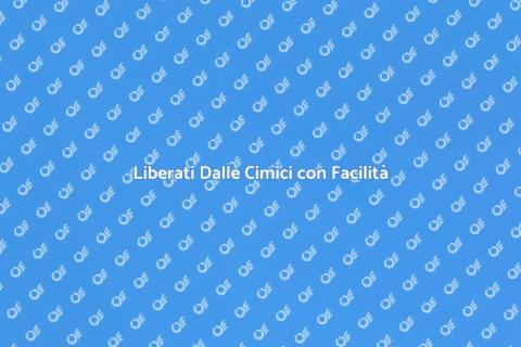 Trattamento Efficace Contro le Cimici