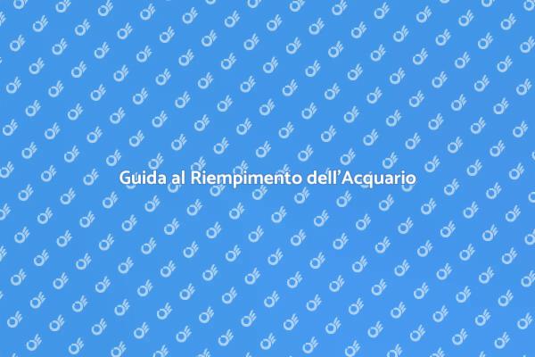 Come Riempire un Acquario di Acqua Salata