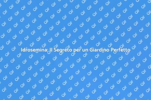 Idrosemina: Prato Verde Senza Stress