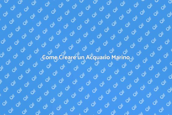 Installazione di un Acquario Marino