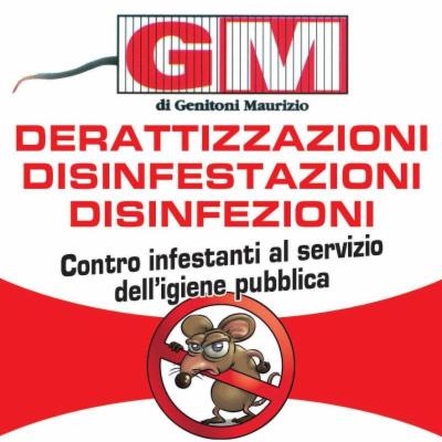 Gm Derattizzazioni e Disinfestazioni  - Foto 5