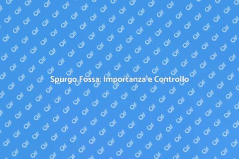 Controllo Spurgo Fossa Biologica