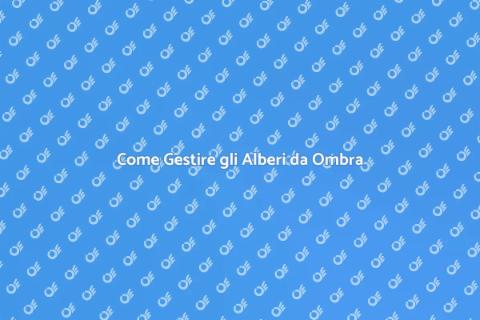 Tagliare Alberi da Ombra: Guida Pratica