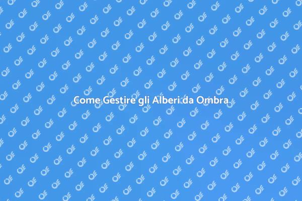 Tagliare Alberi da Ombra: Consigli Utili