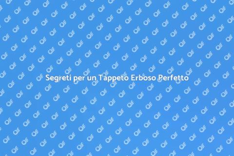 Cura del Tappeto Erboso Perfetto