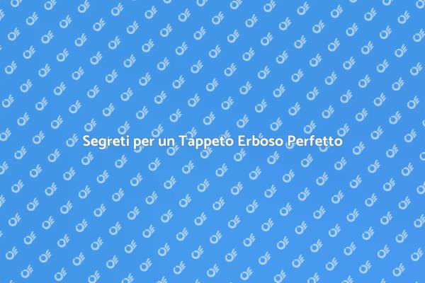 Come Mantenere il Tuo Tappeto Erboso