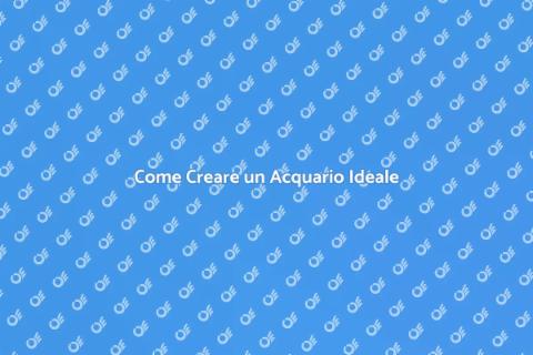 Acquario Ben Allestito: Guida Pratica