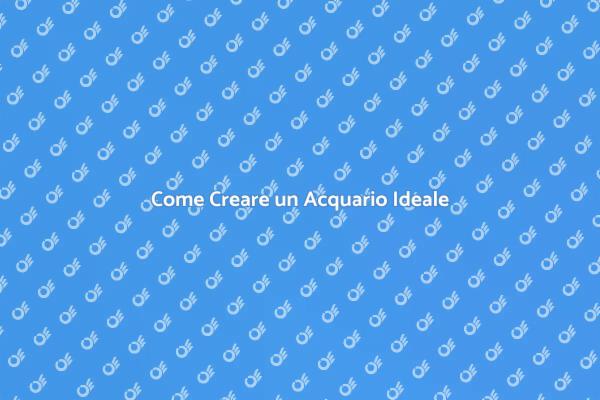 Allestire un Acquario da Sogno