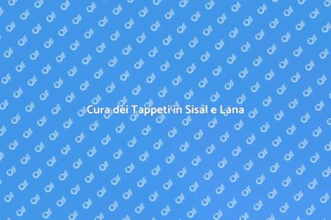 Pulizia Tappeti in Sisal e Lana