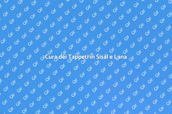 Come Pulire Tappeti in Sisal e Lana