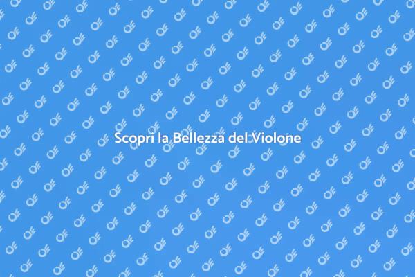 Suonare il Violone: Un Viaggio Musicale