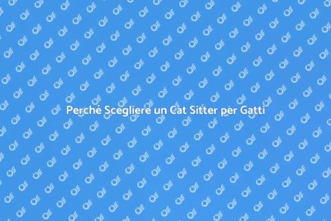 Cat Sitter per Gatti: Routine Essenziale