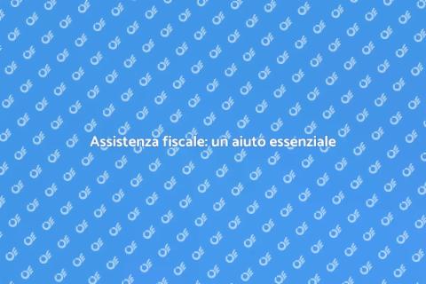 Assistenza fiscale: supporto indispensabile