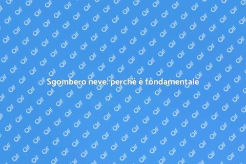 Sgombero neve: servizio affidabile