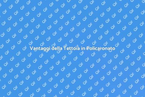 Tettoia in Policaronato Trasparente