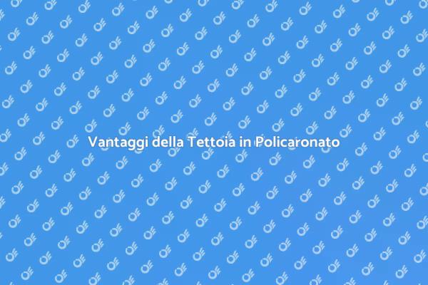 Tettoia Trasparente per i Tuoi Spazi