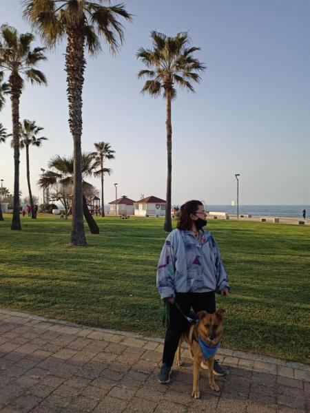 Dog sitter - Foto 1