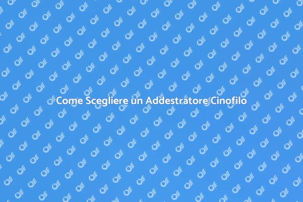 L'Importanza di un Addestratore Cinofilo