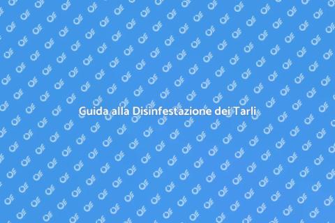 Disinfestazione Tarli nel Legno