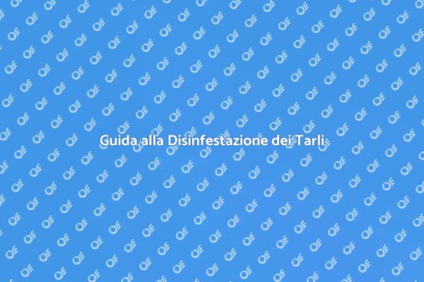 Liberati dai Tarli nel Legno