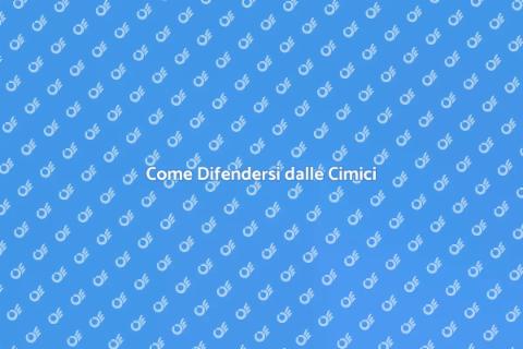 Prevenire Infestazioni da Cimici