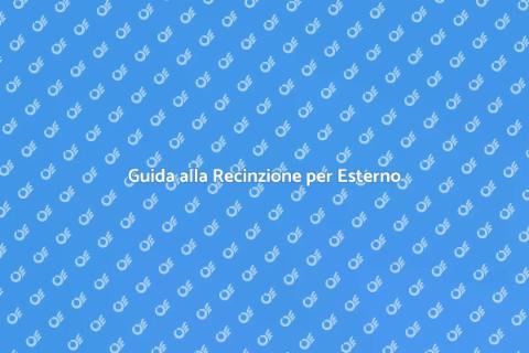 Recinzione per Esterno: Sicurezza e Stile