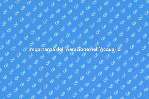 Aerazione Ideale per il Tuo Acquario