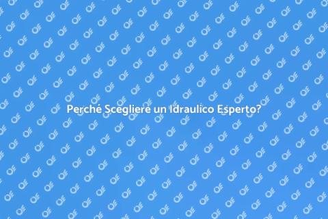 Chiamare un Idraulico Esperto