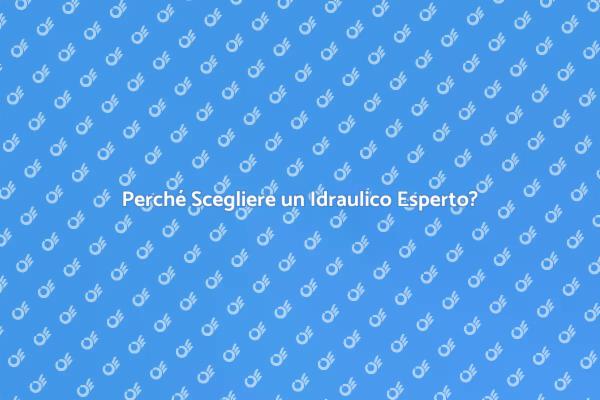 L'importanza di un Idraulico Esperto