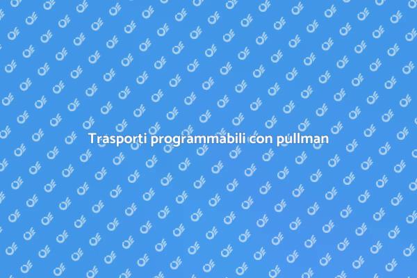 Noleggio pullman con autista efficiente
