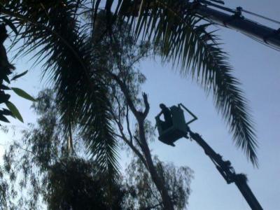 Sicil Verde  - Foto 5