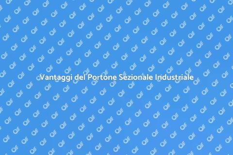 Portone Sezionale per l'Industria