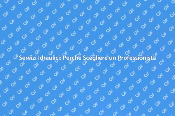 Idraulico: La Chiave per una Casa Sicura