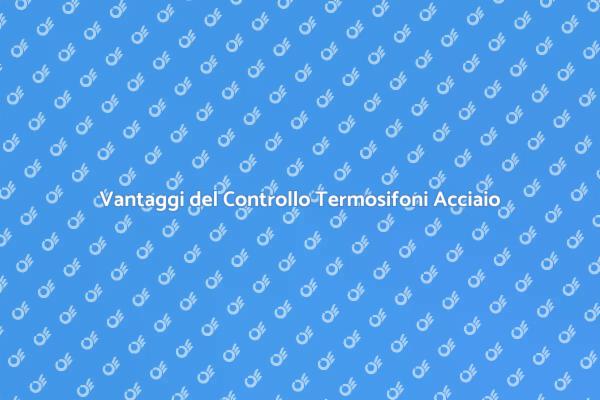 Ottimizza il Comfort con Termosifoni