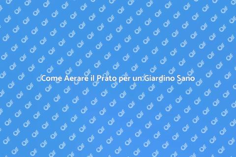 Aerare il Prato per Migliorarne la Salute