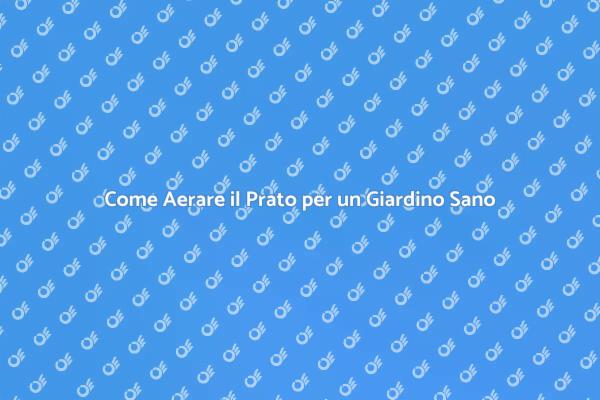 Aerazione del Prato: Guida Pratica