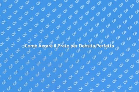 Aerare il Prato per un Erba Rigogliosa