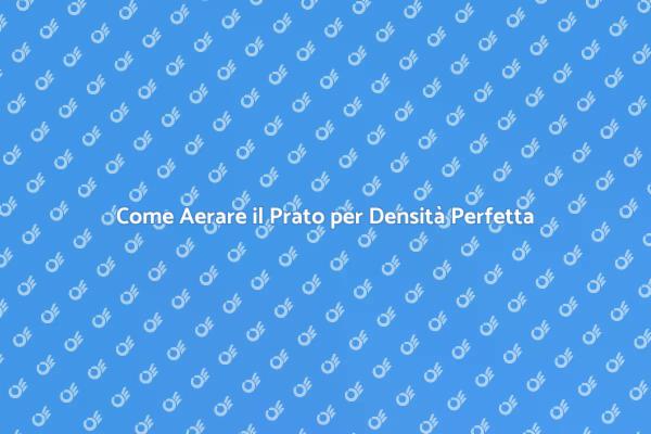 Aerazione del Prato: Guida Pratica