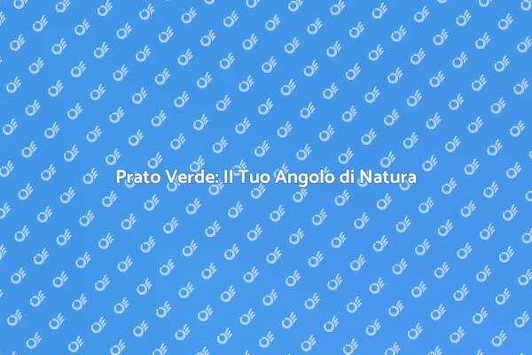 Trasforma il Tuo Giardino in un Rifugio